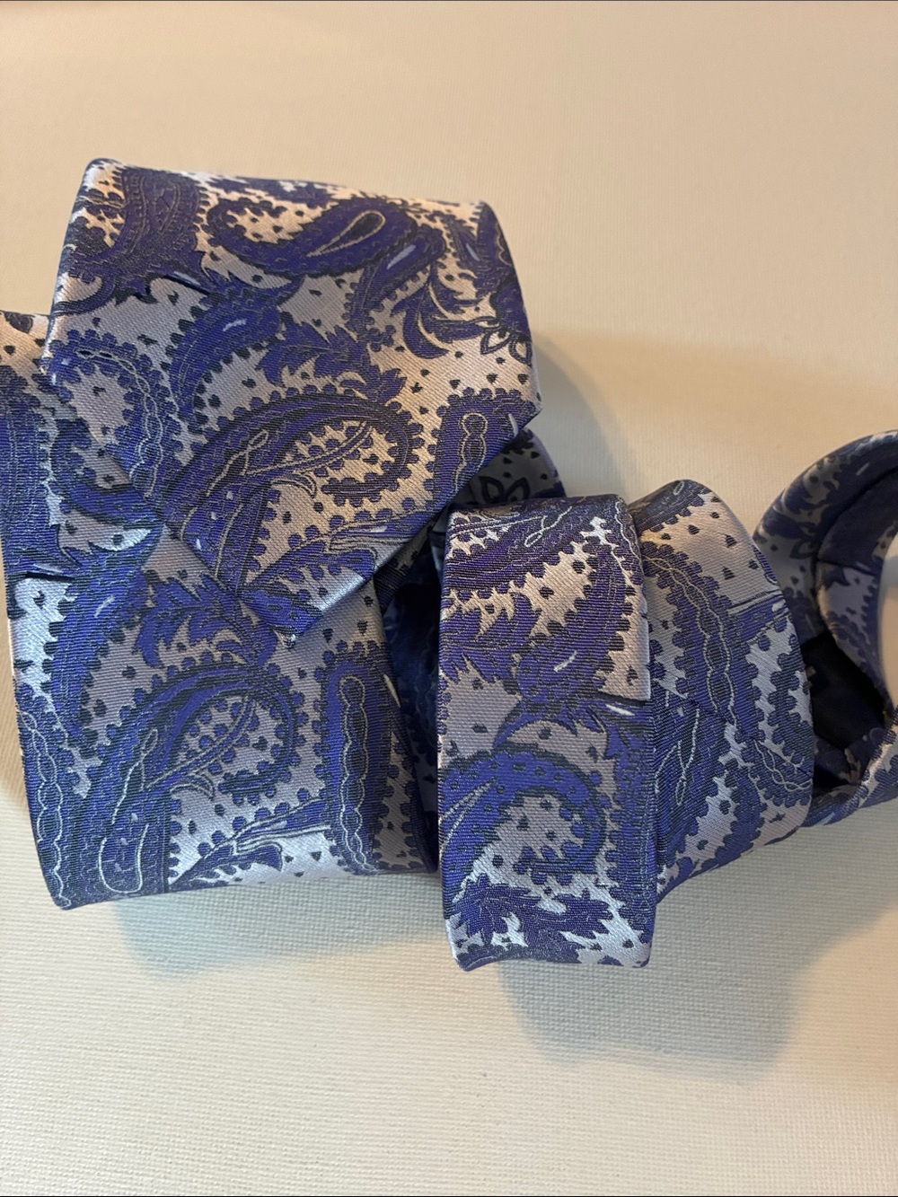 VERSA Collezioni Paisley Silk Tie in Blue and Silver-Tone